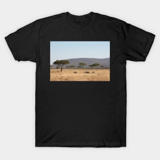 Plains Zebra, in the landscape, Serengeti National Park, Tanzania T-Shirt